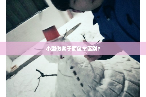 小型微客于面包车区别？
