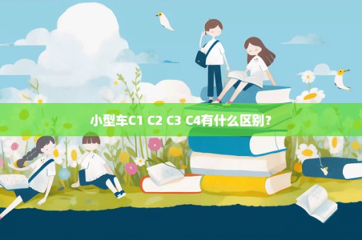 小型车C1 C2 C3 C4有什么区别？