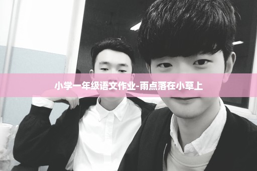 小学一年级语文作业-雨点落在小草上