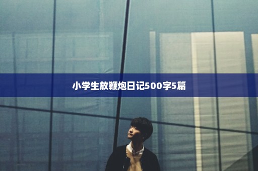 小学生放鞭炮日记500字5篇