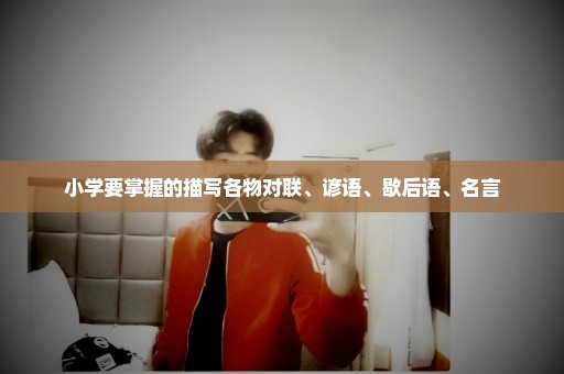 小学要掌握的描写各物对联、谚语、歇后语、名言