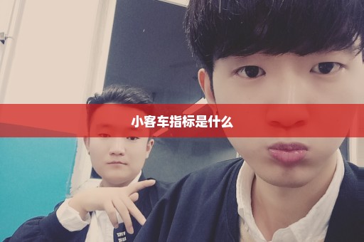 小客车指标是什么