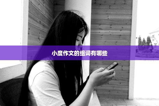 小度作文的组词有哪些