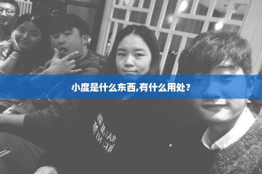 小度是什么东西,有什么用处？