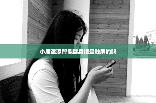 小度添添智能健身镜是触屏的吗