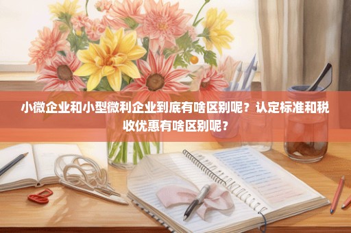 小微企业和小型微利企业到底有啥区别呢？认定标准和税收优惠有啥区别呢？