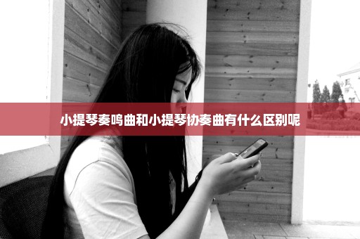 小提琴奏鸣曲和小提琴协奏曲有什么区别呢