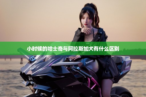 小时候的哈士奇与阿拉斯加犬有什么区别