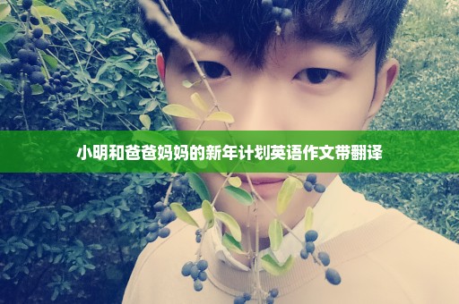 小明和爸爸妈妈的新年计划英语作文带翻译