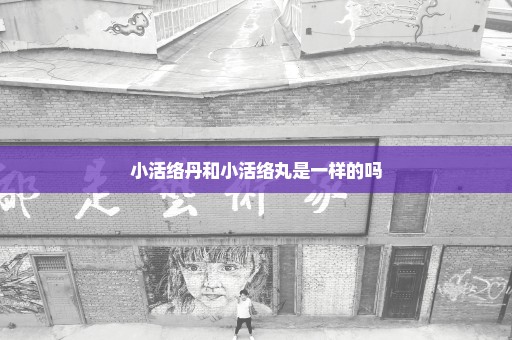 小活络丹和小活络丸是一样的吗