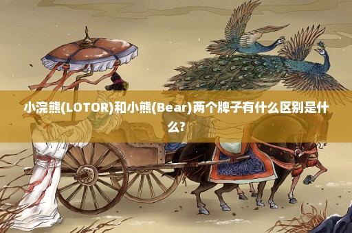 小浣熊(LOTOR)和小熊(Bear)两个牌子有什么区别是什么?