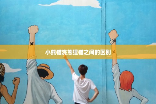 小熊猫浣熊狸猫之间的区别