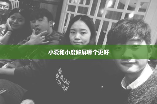 小爱和小度触屏哪个更好
