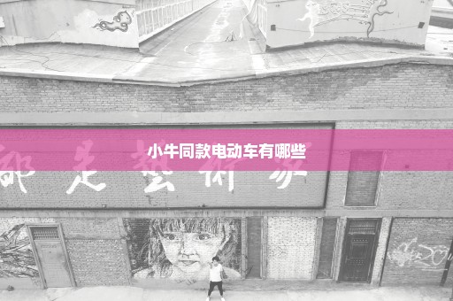 小牛同款电动车有哪些