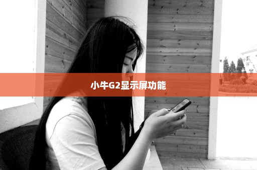 小牛G2显示屏功能