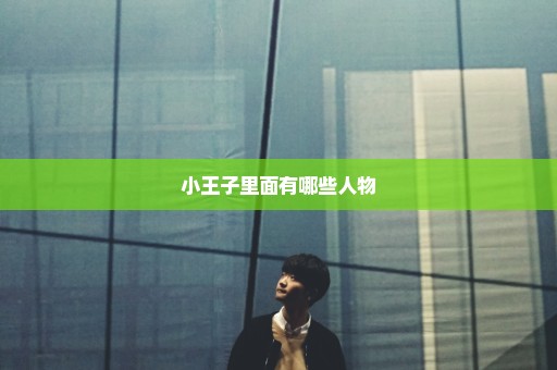 小王子里面有哪些人物