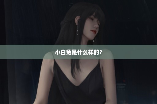 小白兔是什么样的？