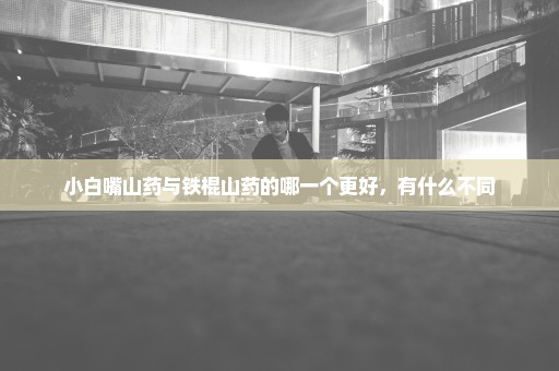 小白嘴山药与铁棍山药的哪一个更好，有什么不同