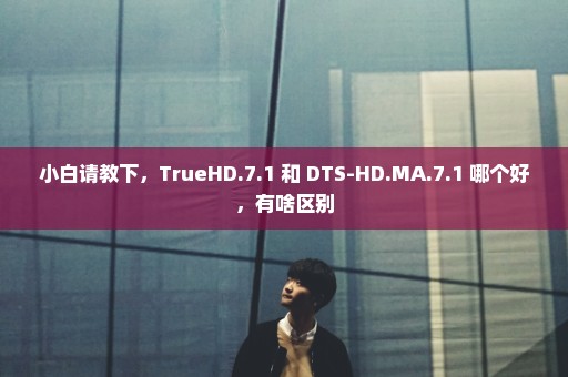 小白请教下，TrueHD.7.1 和 DTS-HD.MA.7.1 哪个好，有啥区别