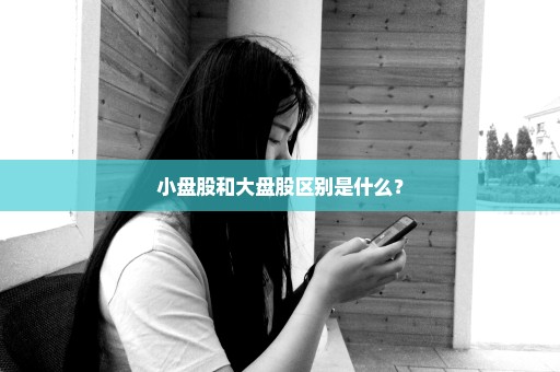小盘股和大盘股区别是什么？
