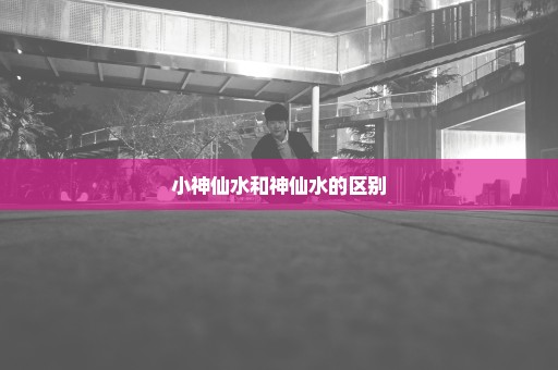 小神仙水和神仙水的区别