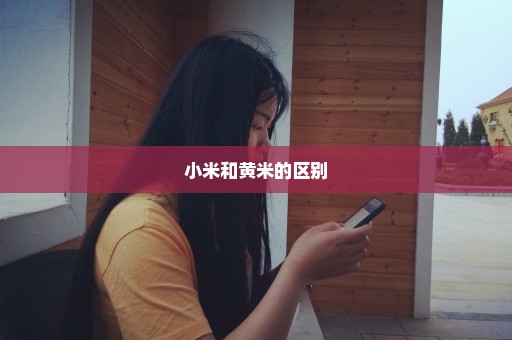 小米和黄米的区别