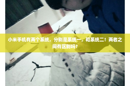 小米手机有两个系统，分别是系统一，和系统二！两者之间有区别吗？