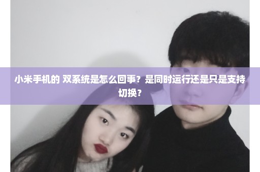 小米手机的 双系统是怎么回事？是同时运行还是只是支持切换？