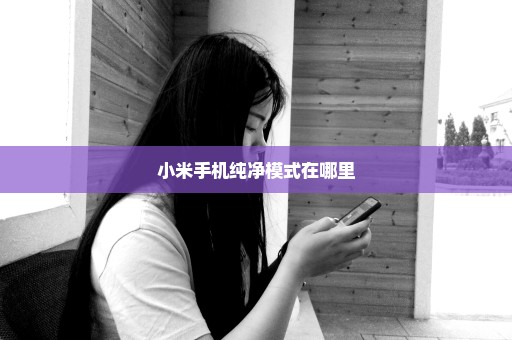 小米手机纯净模式在哪里