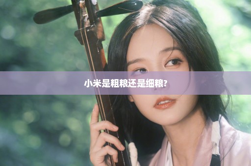 小米是粗粮还是细粮?