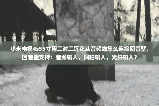 小米电视4s55寸用二对二莲花头音频线怎么连接回音壁，回音壁支持：音频输入，铜轴输入，光纤输入？