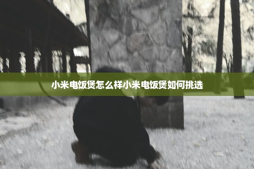 小米电饭煲怎么样小米电饭煲如何挑选