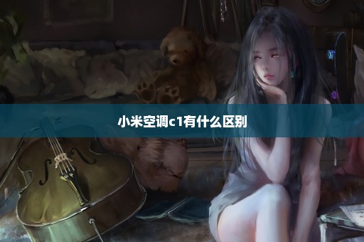小米空调c1有什么区别