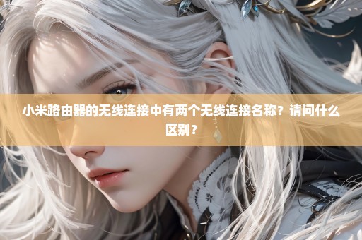 小米路由器的无线连接中有两个无线连接名称？请问什么区别？