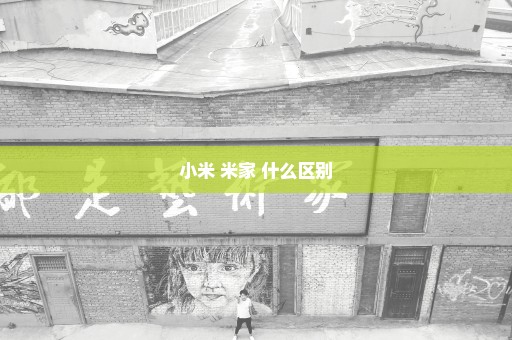小米 米家 什么区别