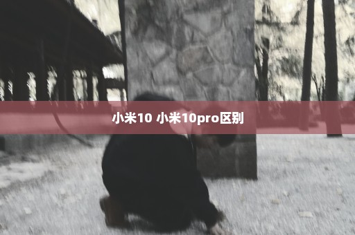小米10 小米10pro区别