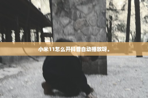 小米11怎么开抖音自动播放呀。