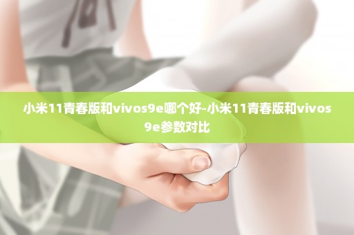 小米11青春版和vivos9e哪个好-小米11青春版和vivos9e参数对比