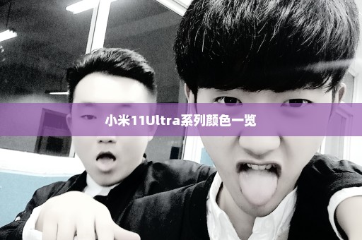 小米11Ultra系列颜色一览