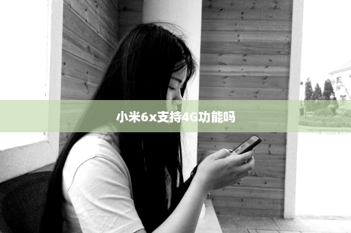 小米6x支持4G功能吗