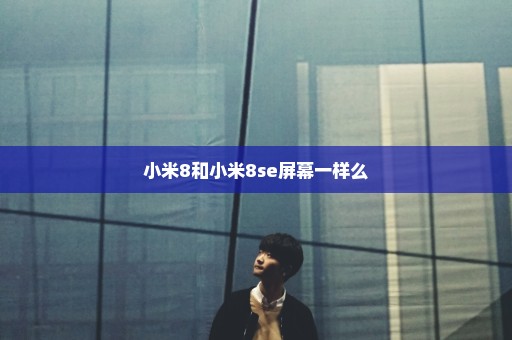 小米8和小米8se屏幕一样么