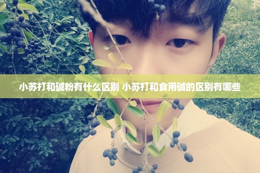 小苏打和碱粉有什么区别 小苏打和食用碱的区别有哪些