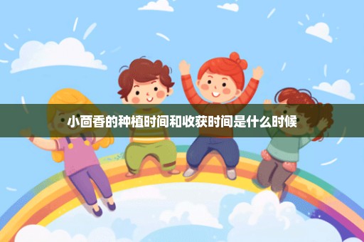 小茴香的种植时间和收获时间是什么时候