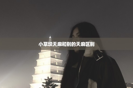 小草坝天麻和别的天麻区别