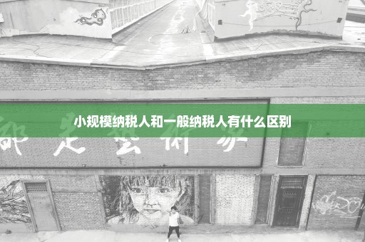 小规模纳税人和一般纳税人有什么区别
