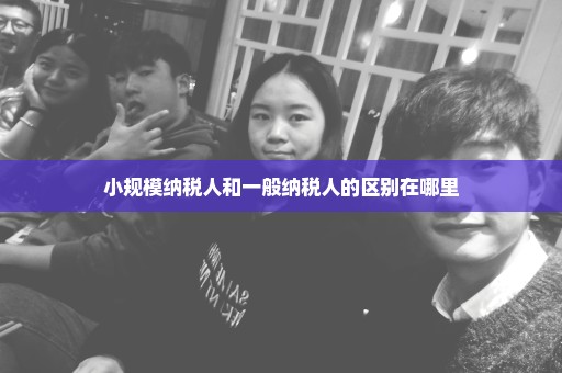 小规模纳税人和一般纳税人的区别在哪里