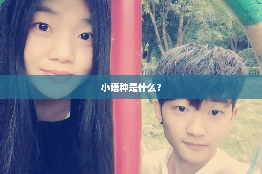 小语种是什么？