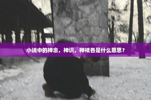 小说中的神念，神识，神祗各是什么意思？