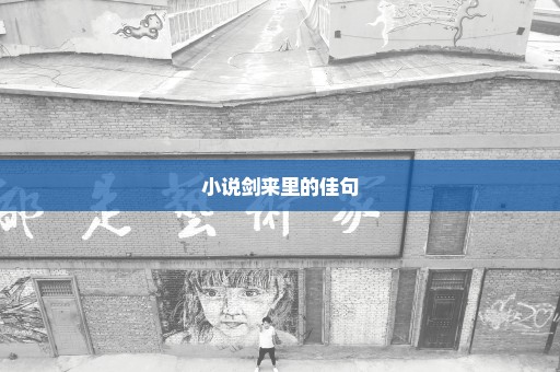 小说剑来里的佳句