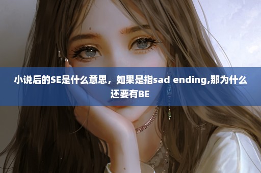 小说后的SE是什么意思，如果是指sad ending,那为什么还要有BE